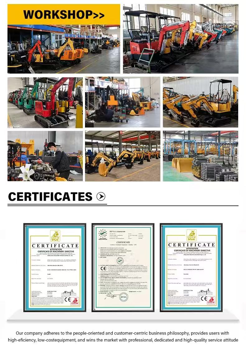 1772069659620958. jpg