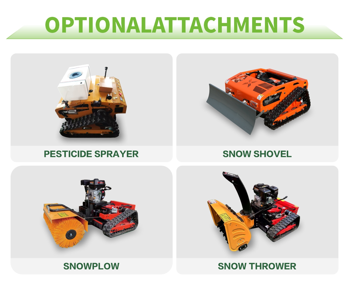 1773382194329909. jpg 4. jpg